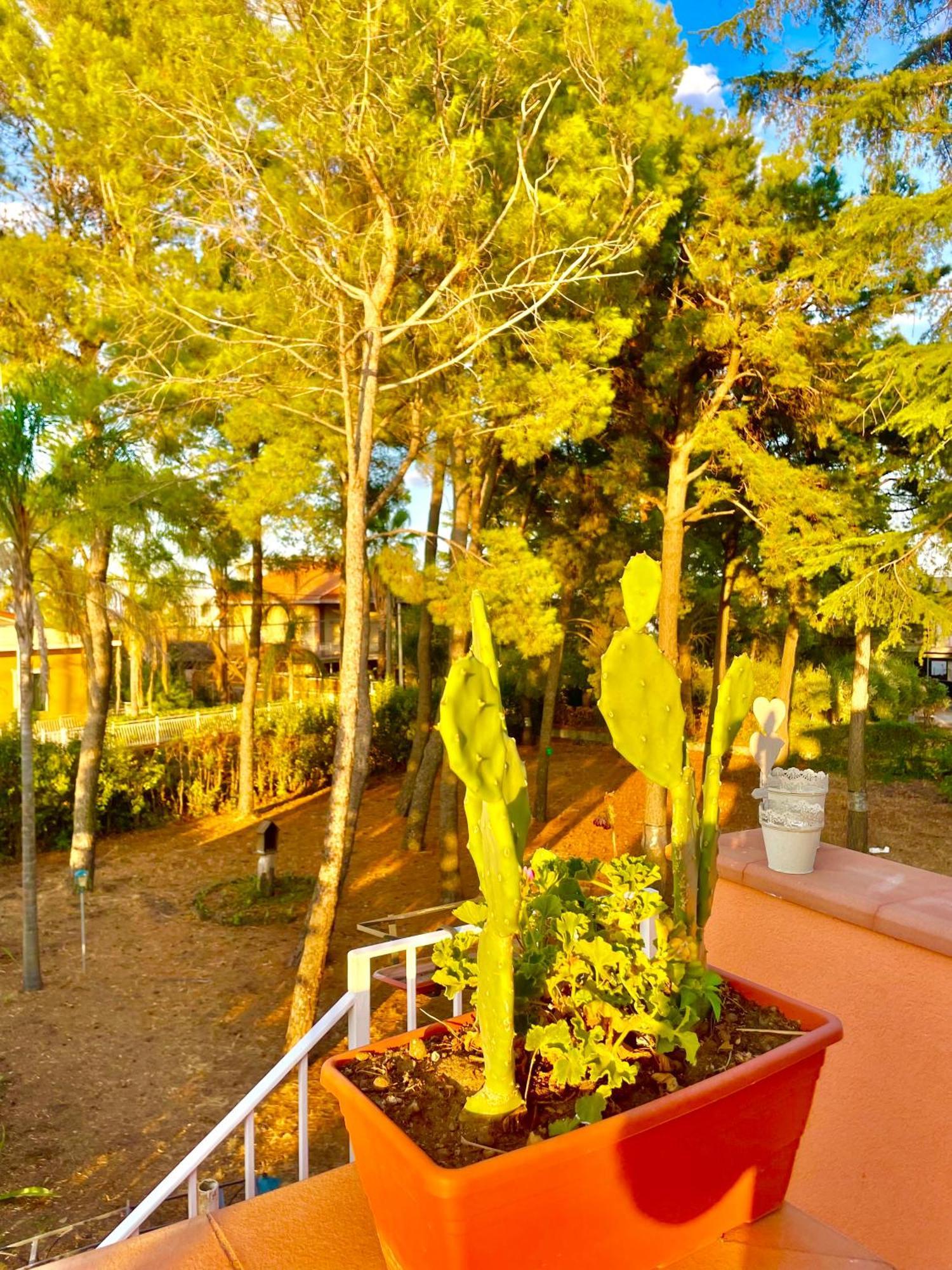 Hotel Linden House Etna Aci SantʼAntonio Esterno foto