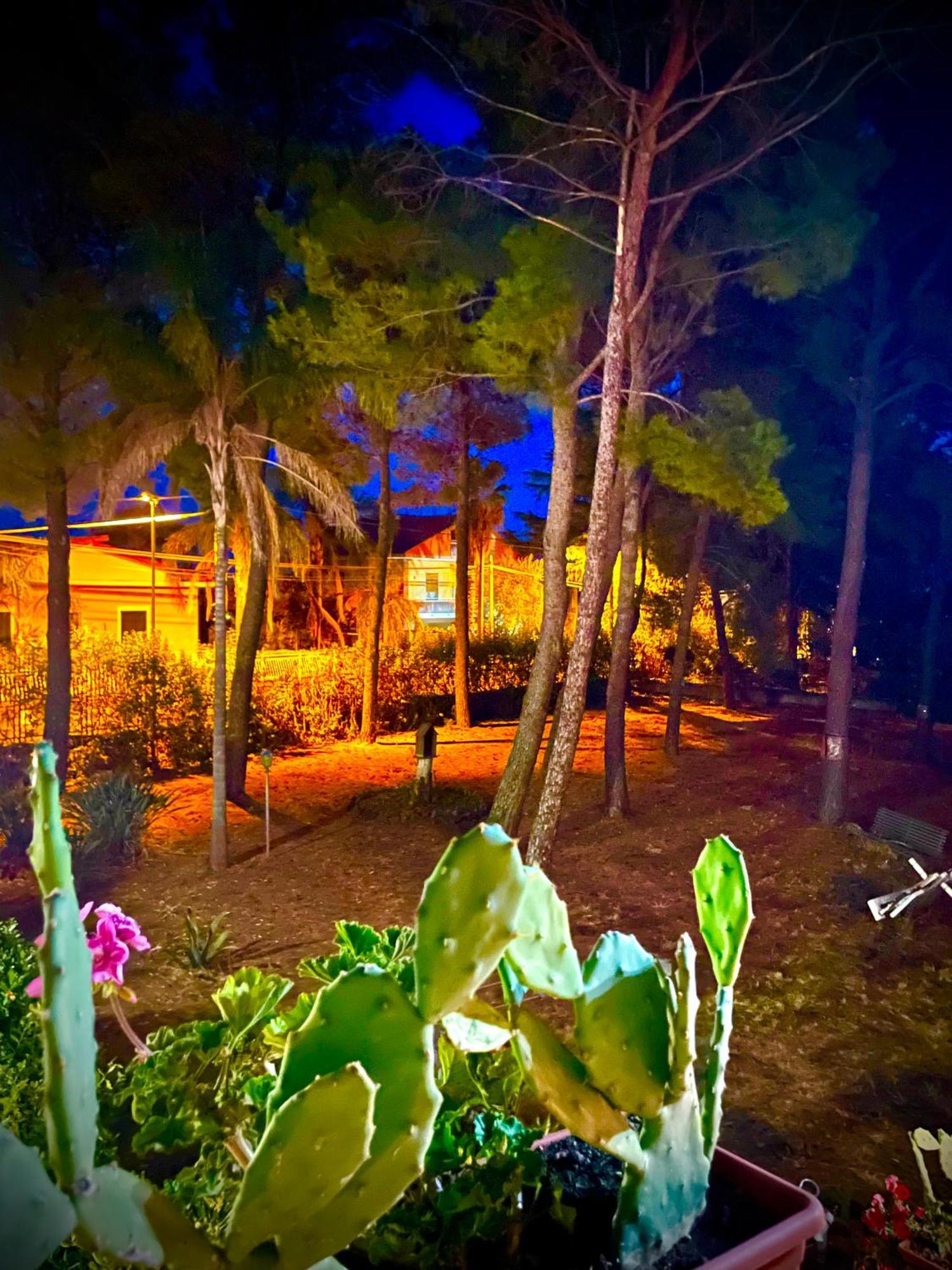 Hotel Linden House Etna Aci SantʼAntonio Esterno foto